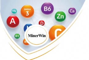MinerWin