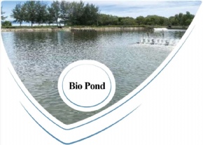 Bio Pond