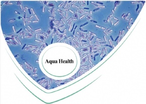 Aqua Health